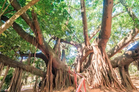 achei-ferias-imagem-galeria-casa-goiana-em-caldas-novas-goias-629a79376030a_1.webp